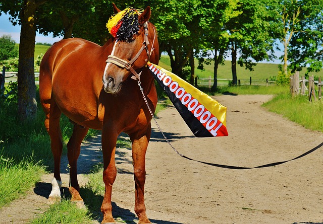 曼联第一季度总营收为1.403亿英镑，较去年同期有所下降